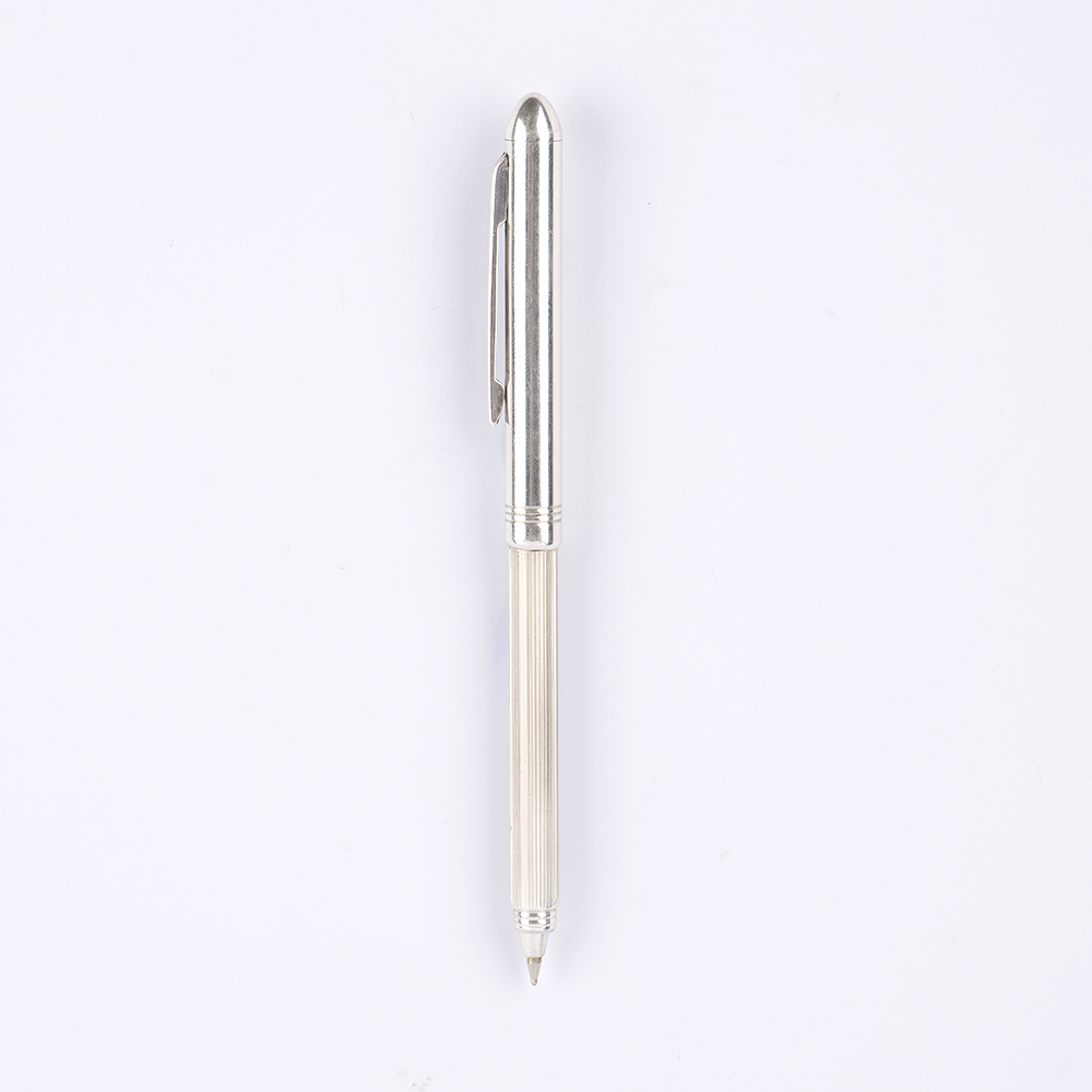 Silver Flip Pen
