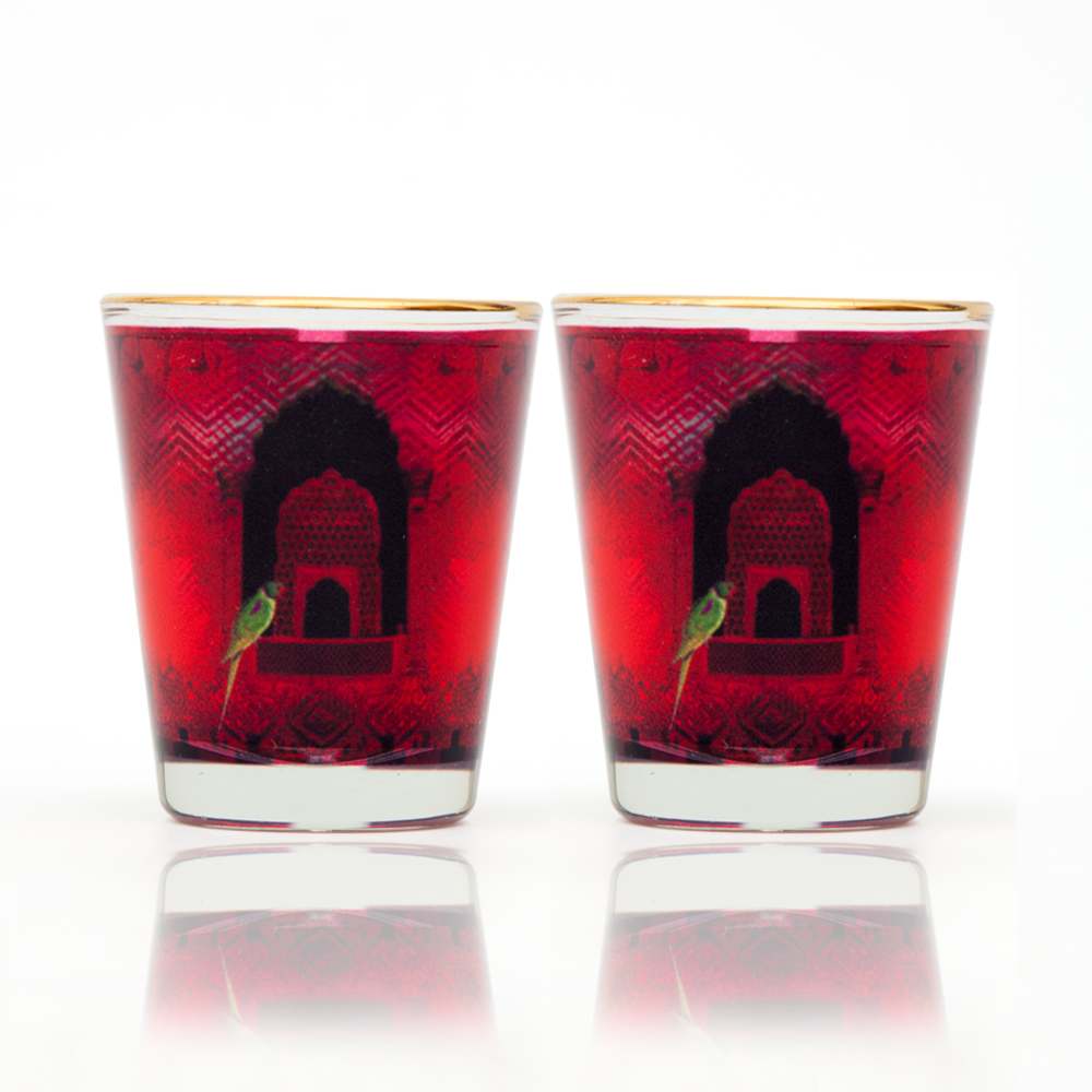 Parrot and Palace Shot Glass