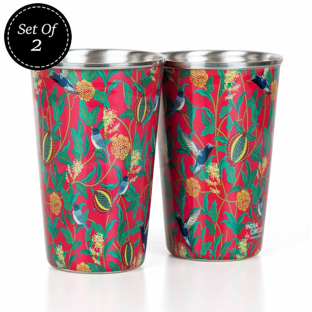Flights of Vivers Steel Tumbler (Set of 2)