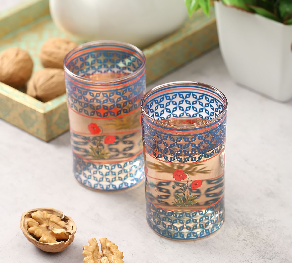 India Circus Flowers and Ferns Small Glass Tumbler (Set of 2)