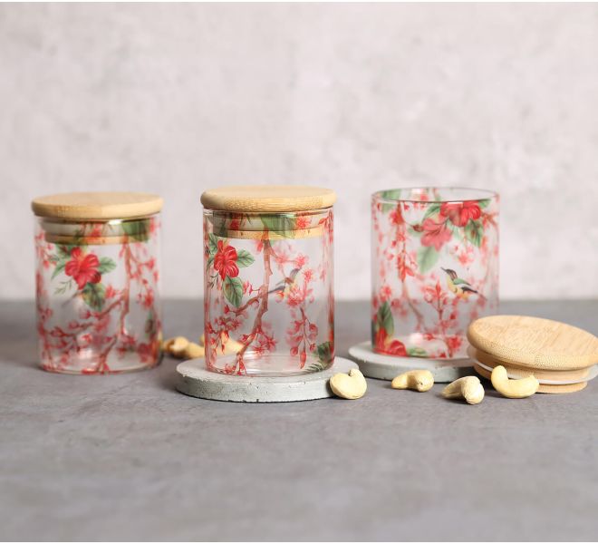 India Circus by Krsnaa Mehta Perching Floral Paradise Glass Jars Set of 3