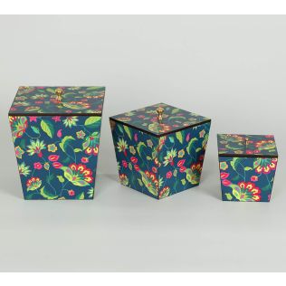 India Circus by Krsnaa Mehta Cyanic Pop Burst Storage Box