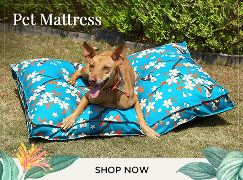Buy Pet Beds Online